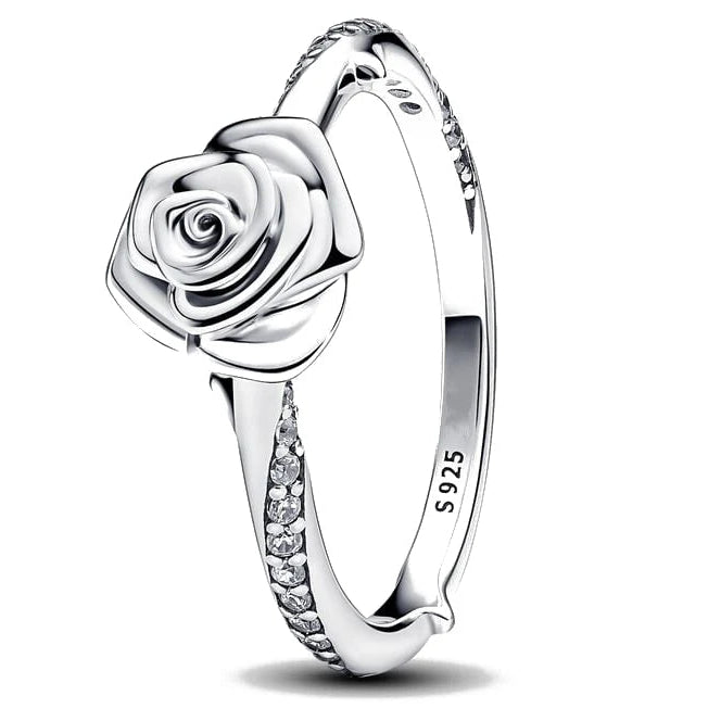 Classic Life Collection